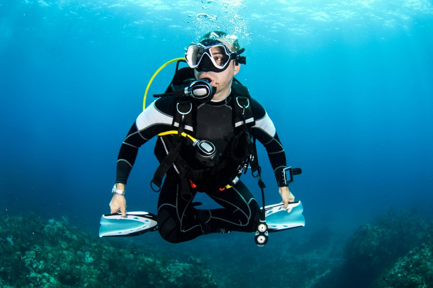 Scuba Diving