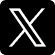 x Icon